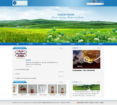 蜂業(yè)股份與重慶漢沙科技 以專業(yè)網(wǎng)頁設(shè)計(jì)與優(yōu)化，賦能食品酒業(yè)數(shù)字化轉(zhuǎn)型