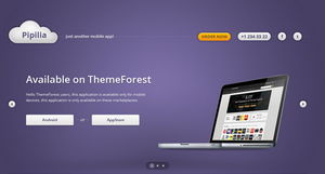 簡約而不簡單 網站著陸頁設計的力量